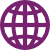 network-globe icon